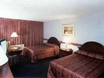 Golden Palm Hotel